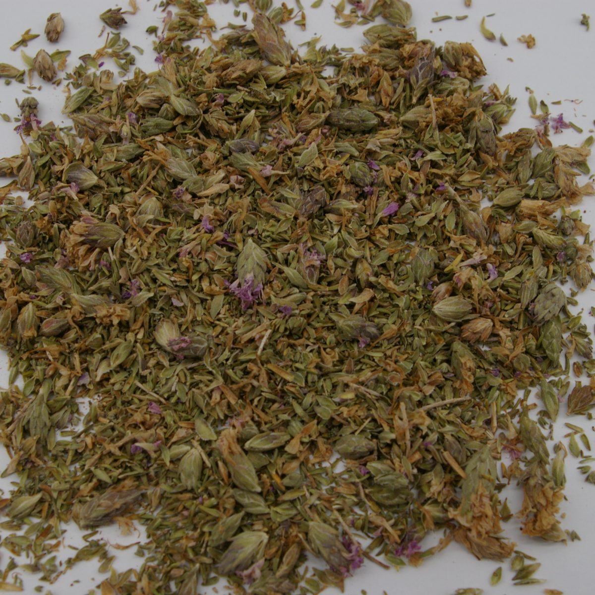 Cyprus Thyme (Thymus capitatus), Online Organic Tea Shop Herb Valley